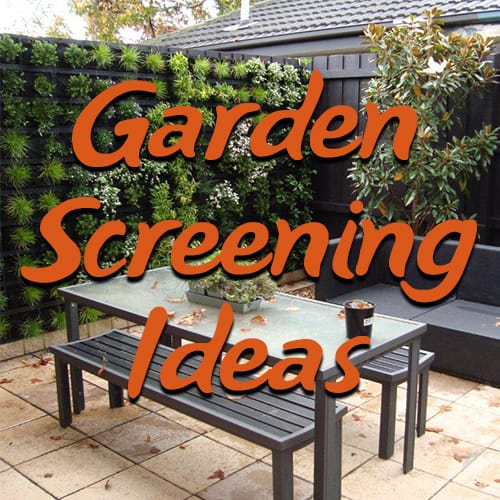 10 Garden Screening Ideas to Make Your Garden a Private Paradise
