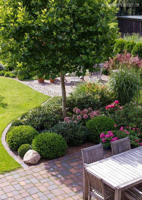 33 Best Trees For Small Gardens That Won T Limit Your Outdoor Space