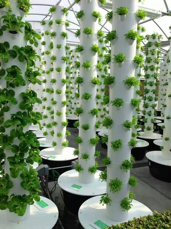 hydroponics tower