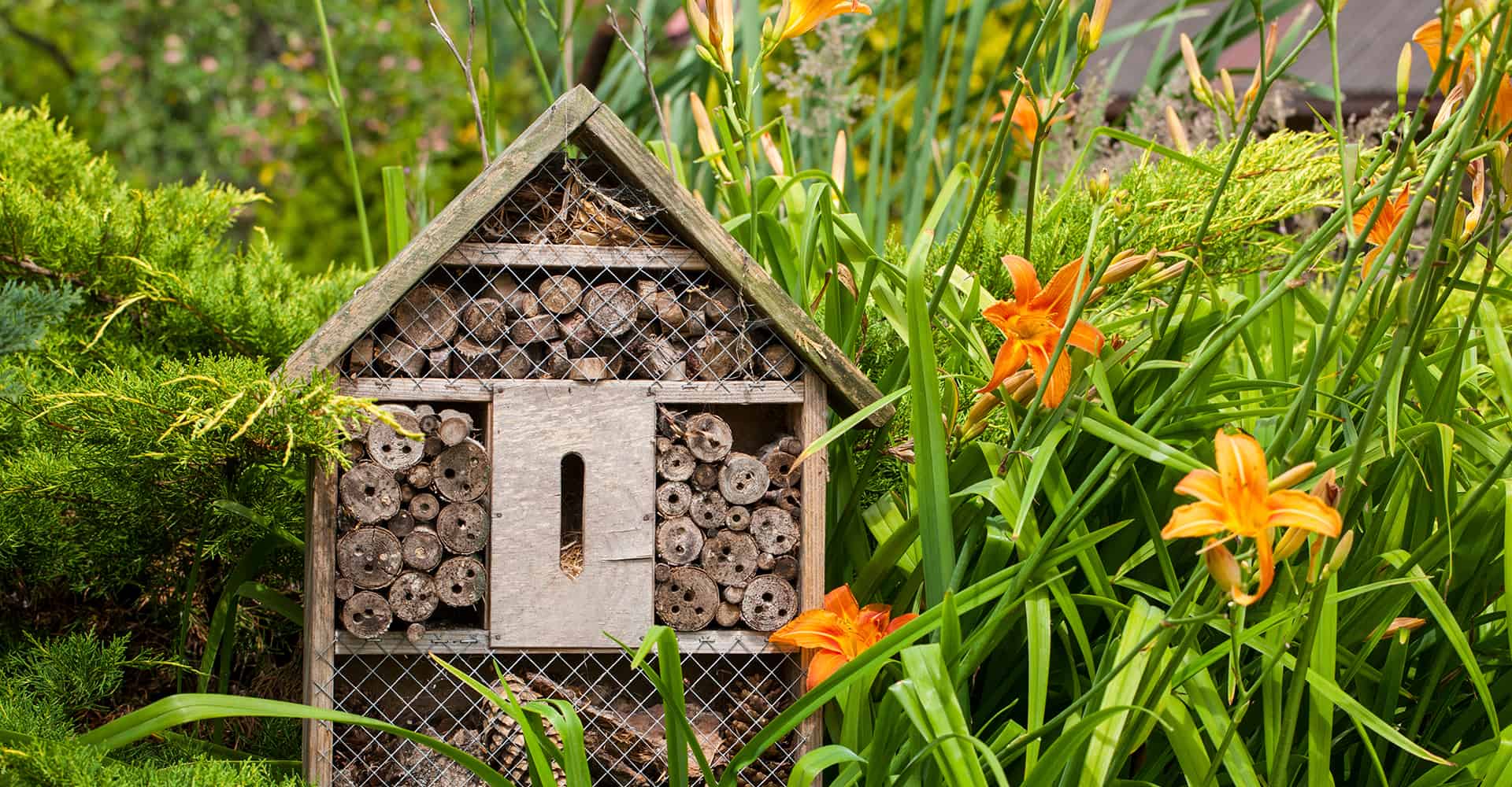 insect-hotel