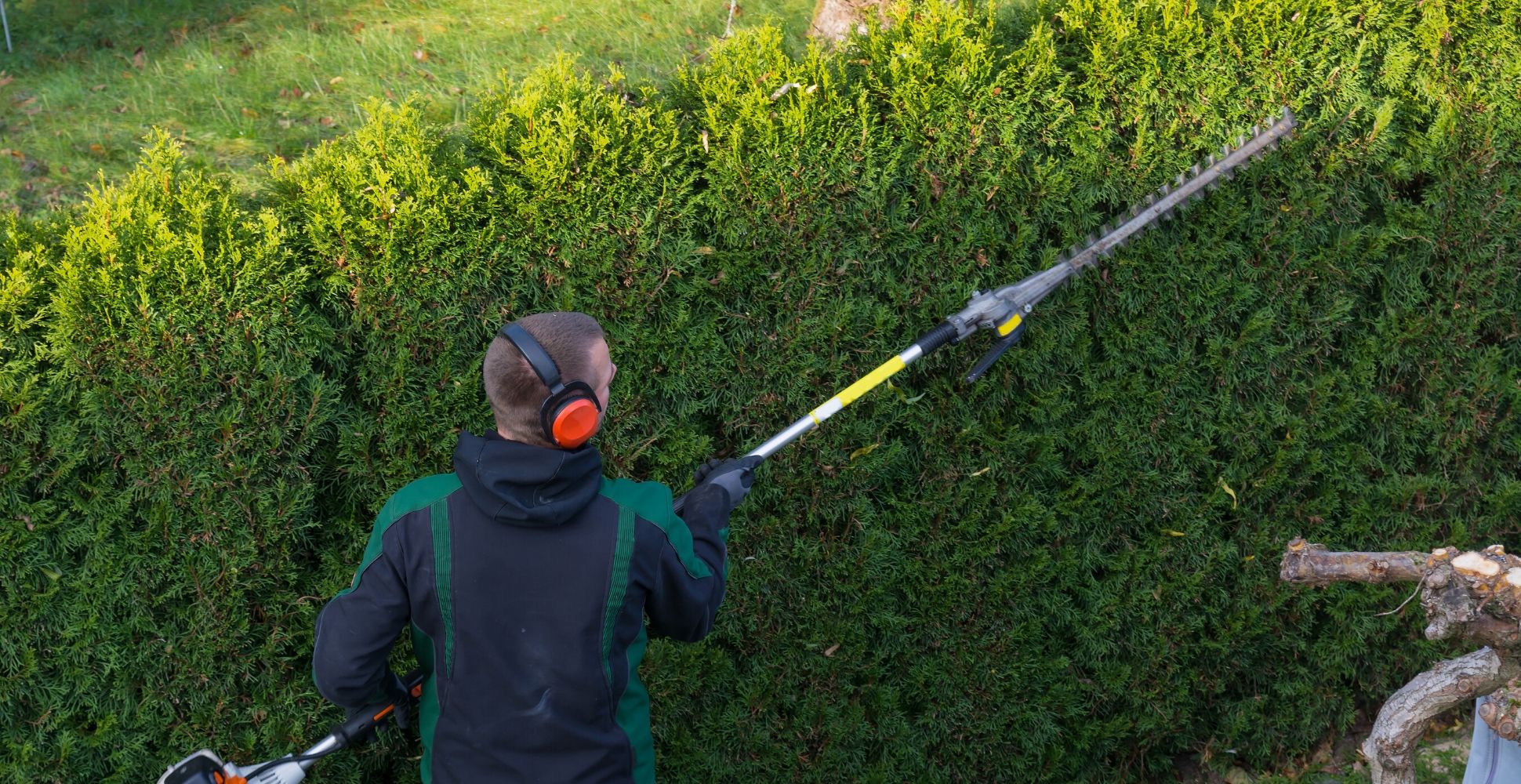 pole hedge trimmers