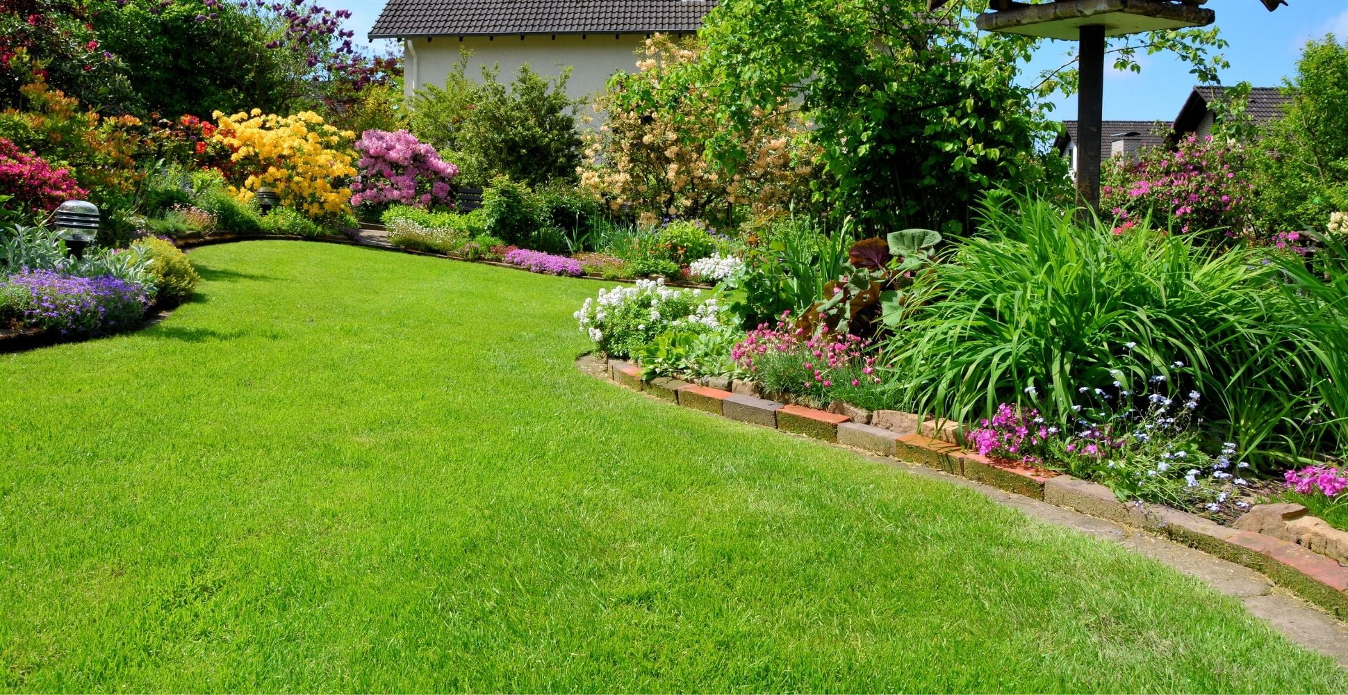 How To Achieve The Perfect Lawn Diy Garden