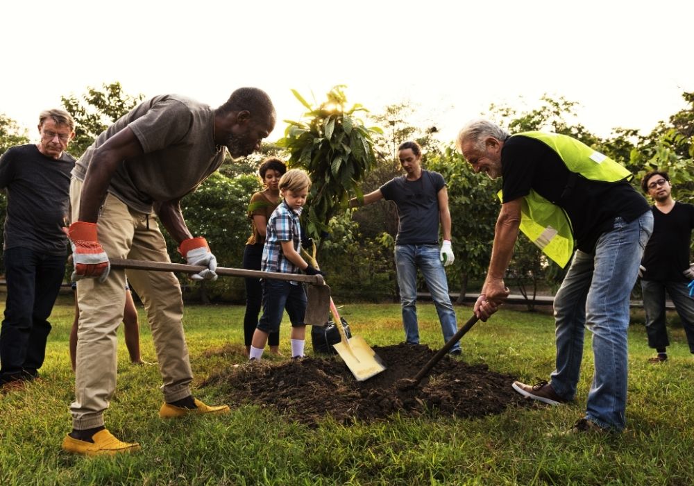 group-of-people-planting-tree-together
