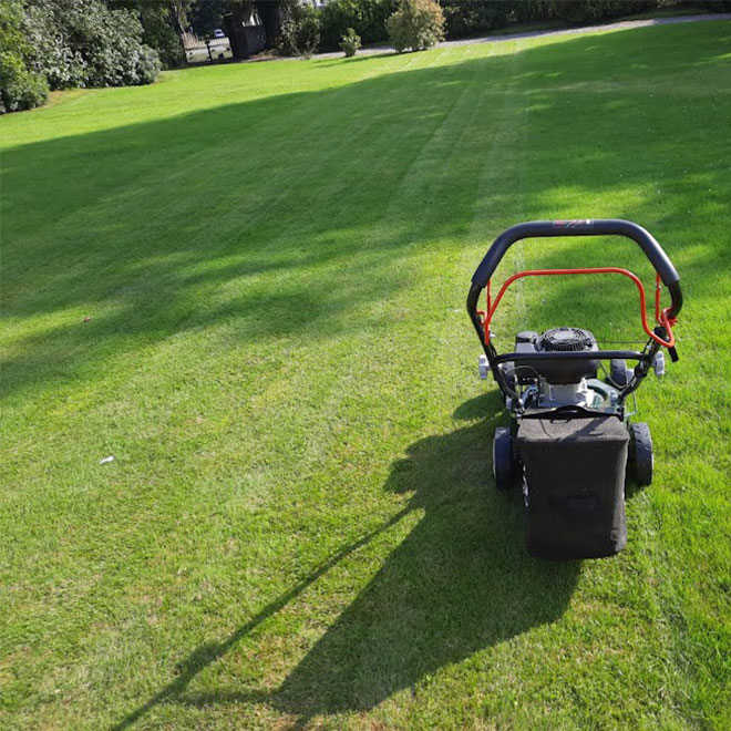 Webb-Classic-WER410SP-Self-Propelled-Petrol-Mower-Review-performance